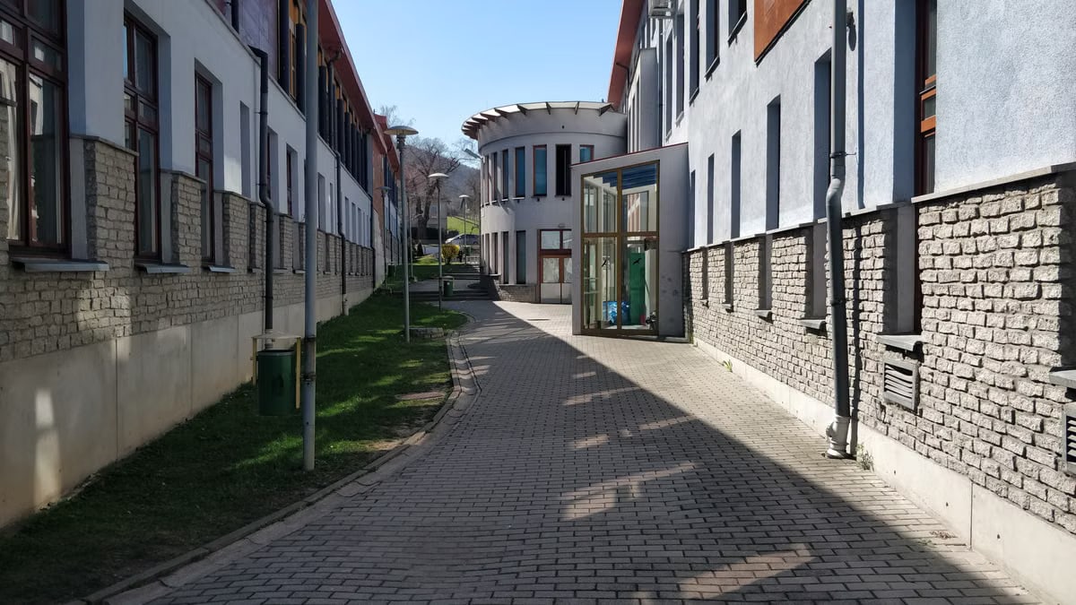 A sunny outdoor passage between modern educational buildings with brick facades.
